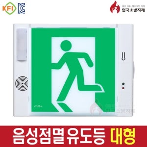음성점멸 유도등 대형 벽부형 피난구 리더스테크