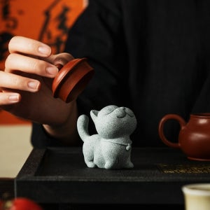 돌멩이 강아지 반려돌 스톤 돌 반려석 애완용 돌키우기 펫
