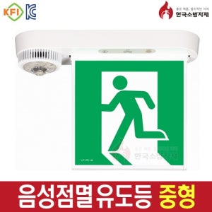 음성점멸 유도등 중형 천정형 피난구 리더스테크