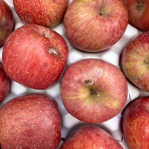 소셜농장 부사꿀 못난이 사과 사이즈별 2kg 3kg 5kg 10kg 가정용 실속형