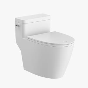 아메리칸 스탠다드 WAVE 웨이브 S 원피스 양변기 LOW 양부속 포함 C209600C-6DAKHS59S