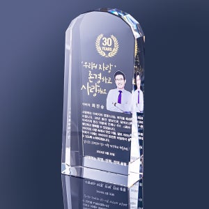 크리스탈 퇴직 감사패 정년 기념패 팔순 은퇴 퇴임 칠순 부모님 감사패제작 공로패 아치소