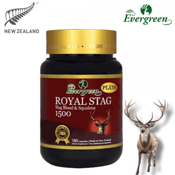 <b>에버그린</b> 뉴질랜드 녹혈 숫사슴 1500mg 180정 로얄스태그 동결건조 스쿠알렌 610mg