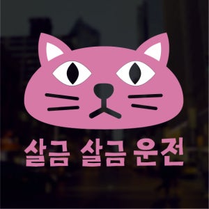 고양이 캐릭터 살금 안전 초보 안전운전 스티커