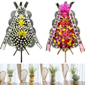 구례동양란 근조 축하화환 개업 취임 영전 이전 승진 화분