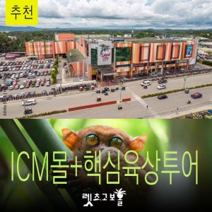 [가는김에 ICM몰] ICM몰+육상투어(초콜렛힐 안경원숭이 맨메이드포레스트)