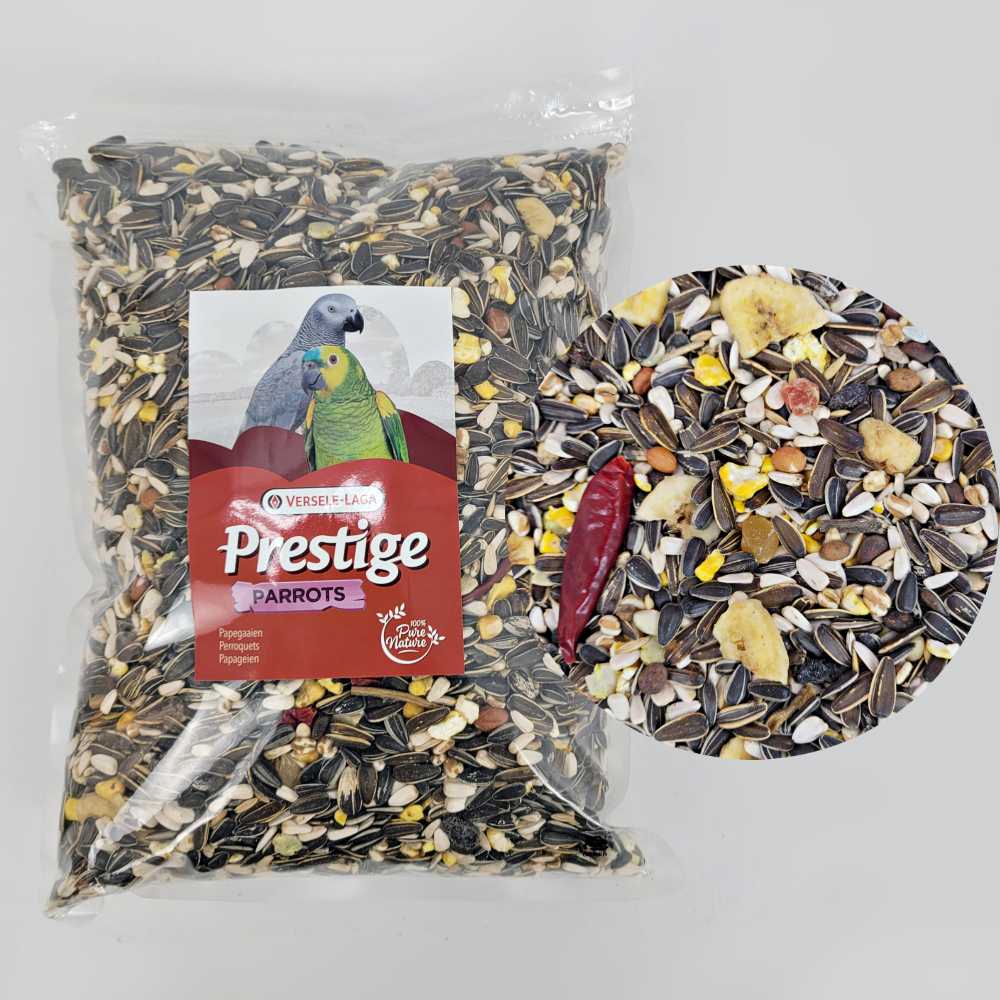 앵무새 (Pet Parrot 사육가이드)