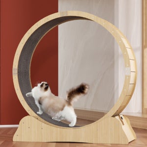 타미앤제니 반려동물 익사이트 우드 고양이 캣휠