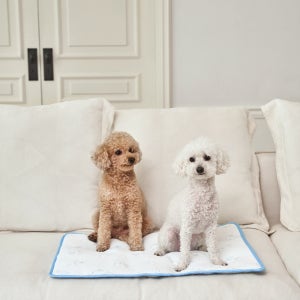 강아지쿨매트 고양이 애견냉감패드 여름방석 쿨링 방석 매트