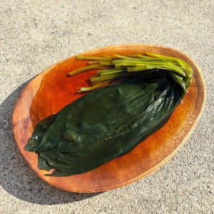 울릉허브 명이나물 10kg(명이/국산) 식당용 벌크