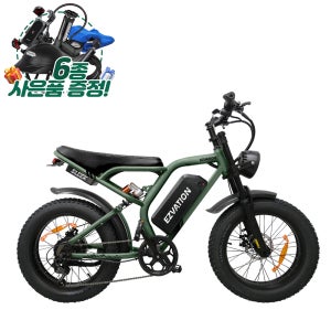 전국 완조립 무료 퀵배송 이지베이션 BS슬릭 PAS 그레이 10ah 전기자전거