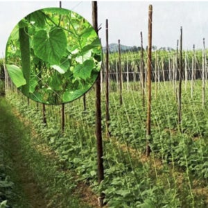 해태망 멧돼지망 동물방지망 펜스망 고라니망 울타리 그물 망