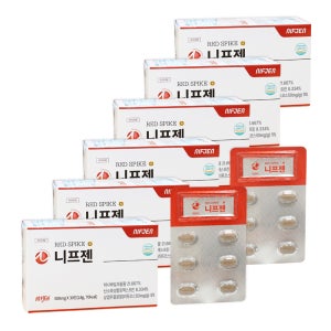 니프젠 스파이크 프리미엄 600mg 6개