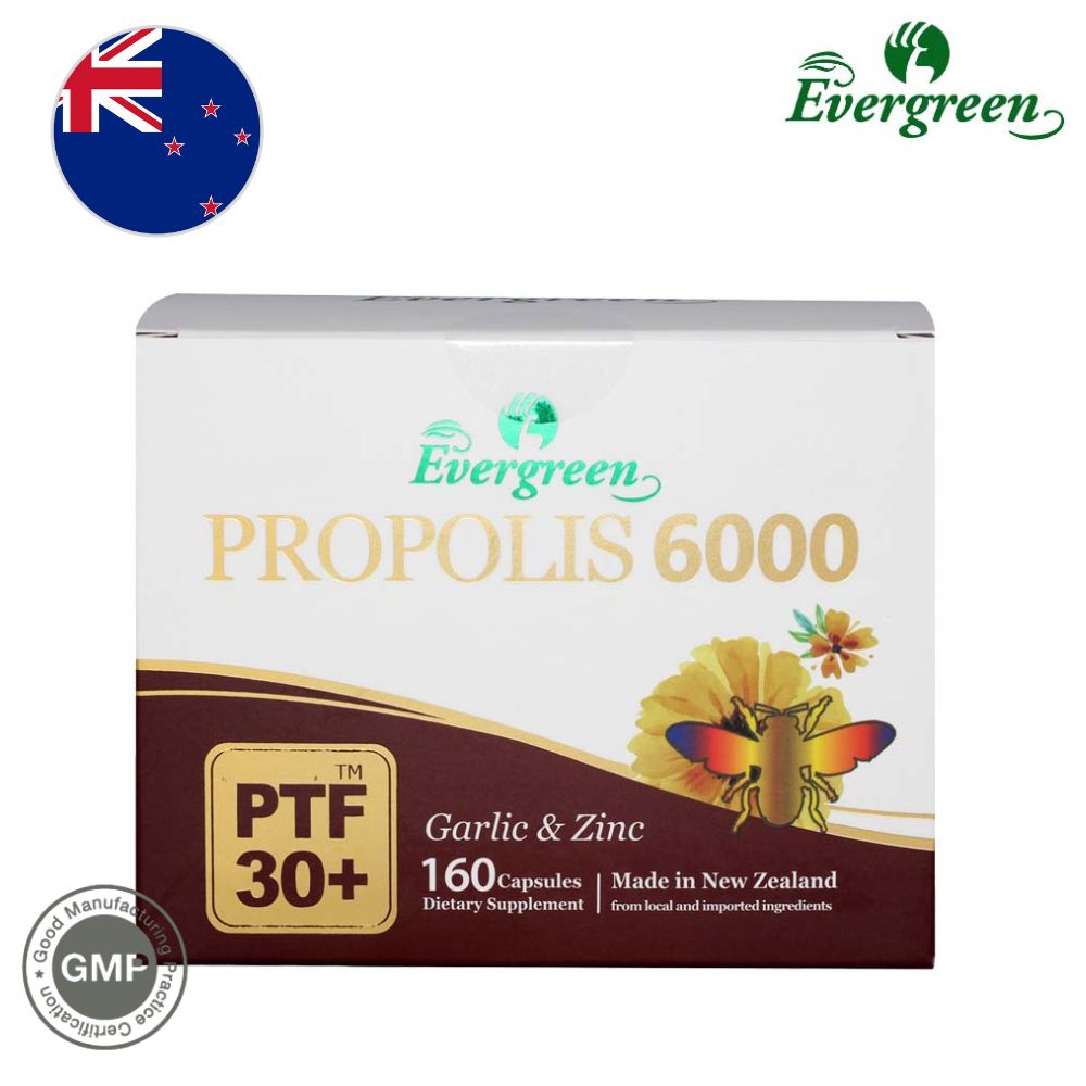 뉴질랜드 에버<b>그린 라이프</b> 프로폴리스 6000mg 160 캡슐 케르세틴 <b>아연</b> 엽산 함유