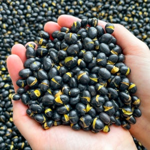 농가살리기 국내산 100% 볶은서리태 500g 1kg