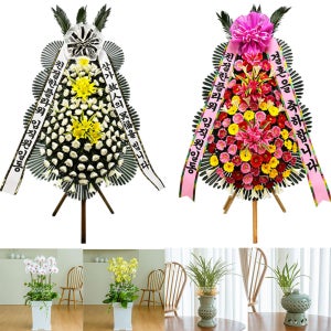 동양란 서양란 근조 축하화환 개업 취임 인테리어 생신 승진 화분 경북 구미 원평동 지산동 도량동 봉곡동 부곡동 선기동 수점동 남통동 형곡동 송정동 신평동 비산동 공단동 광평동 사곡