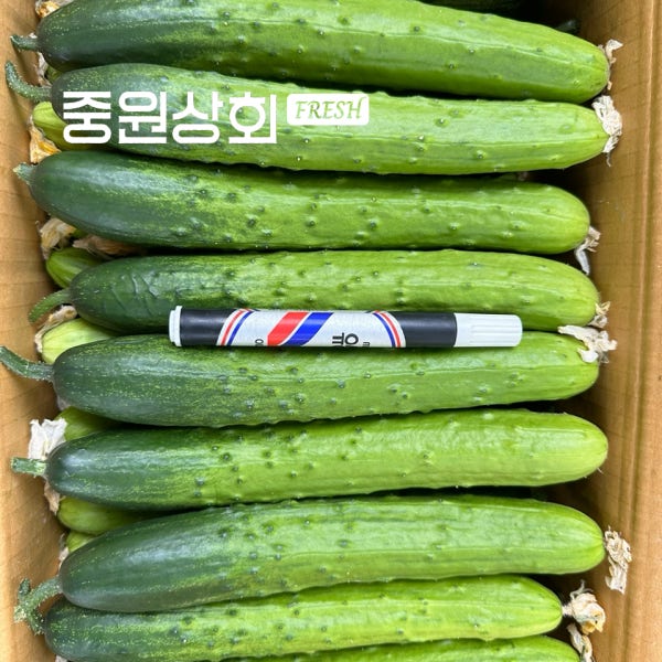 오이 백다다기 백오이 다다기오이 오이지 10kg 당일경매