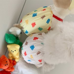 강아지 산책용 냉장고 티셔츠 나들이 냉감 올인원 외출복