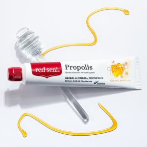 레드씰 프로폴리스 치약 100g, 1개