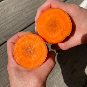 당근 10kg 수입 세척 주스용 라페