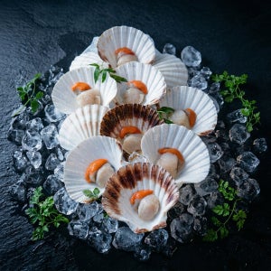 광고 메인 이미지