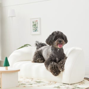 뉴캐슬퍼니처 밀로 펫소파 - 강아지 고양이 쇼파 프리미엄 소파 Millo Pet Sofa