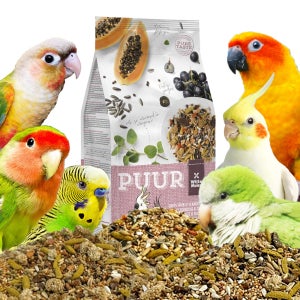 앵무새먹이 위트모렌 퓨어 코뉴어퀘이커 새 사료 모이 용품