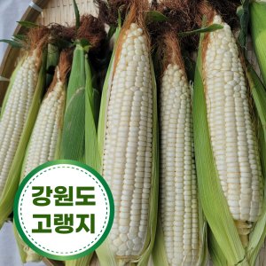 우리가스토리 최저가 가성비상품