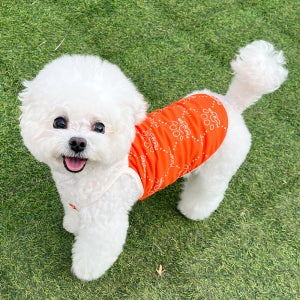 강아지 쿨나시 여름옷 쿨조끼 쿨링 쿨티 진드기 해충방지 멍셔리 S