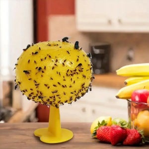 디와이홈 날벌레퇴치 벼룩 파리 화분 초파리 끈끈이 트랩 화랑곡나방 퇴치법