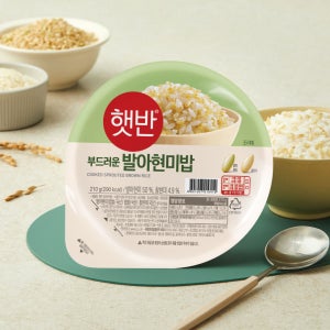 햇반 발아현미밥 210G 36개(1BOX) 외 6종