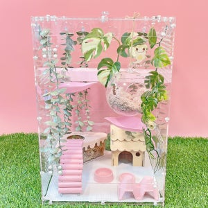 도마뱀 크레 아크릴사육장 303045 크레스티드게코 사육장 뚜껑오픈형