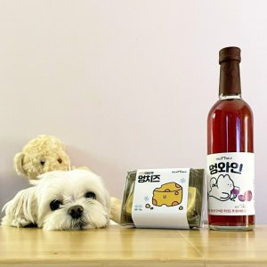 강아지 소주 맥주 이슬 멍걸리 멍와인 펫 음료 이온 음수량 늘리기 애완견 간식