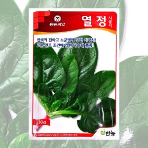 열정 시금치씨앗 20g 26년포장 맛있는 시금치종자