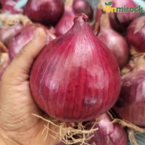 온미락 전남 무안 자색양파 중대사이즈 3kg 5kg 10kg 황토밭 햇양파 산지직송