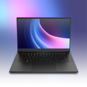 Razer Blade 15 Advanced 13Gen R4060 QHD (WIN11HOME / SSD 1TB / RAM 32GB) HMC