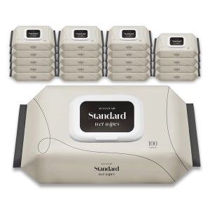 대용량 아기물티슈 즐거운집 스탠다드 100매 20팩 가성비 유아 저자극 순한