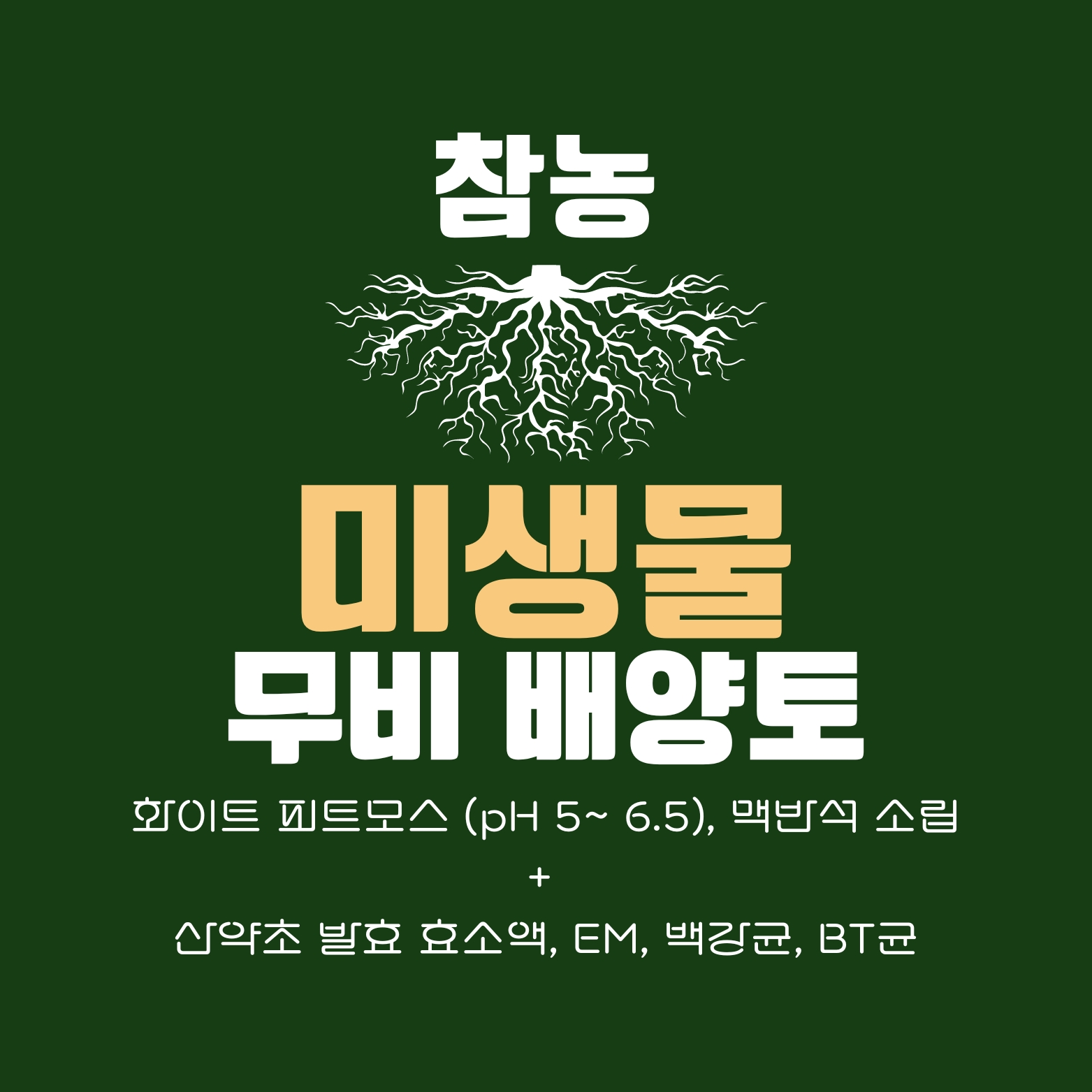식물공방 이미지