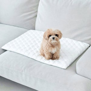 페리가토 강아지 여름 쿨방석 고양이 듀라론 미니 쿨매트