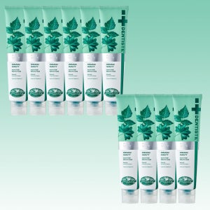 DENTISTE 뉴플러스화이트 200g 10개+휴대용 20g+20g