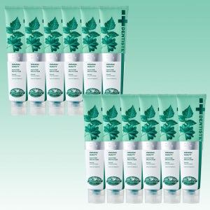 DENTISTE 뉴플러스화이트 200g 12개+휴대용 60g+20g