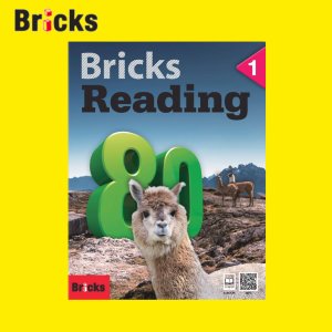 bricksreading 최저가 가성비상품