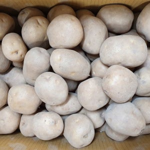 야채이야기 영양가득 감자 10kg