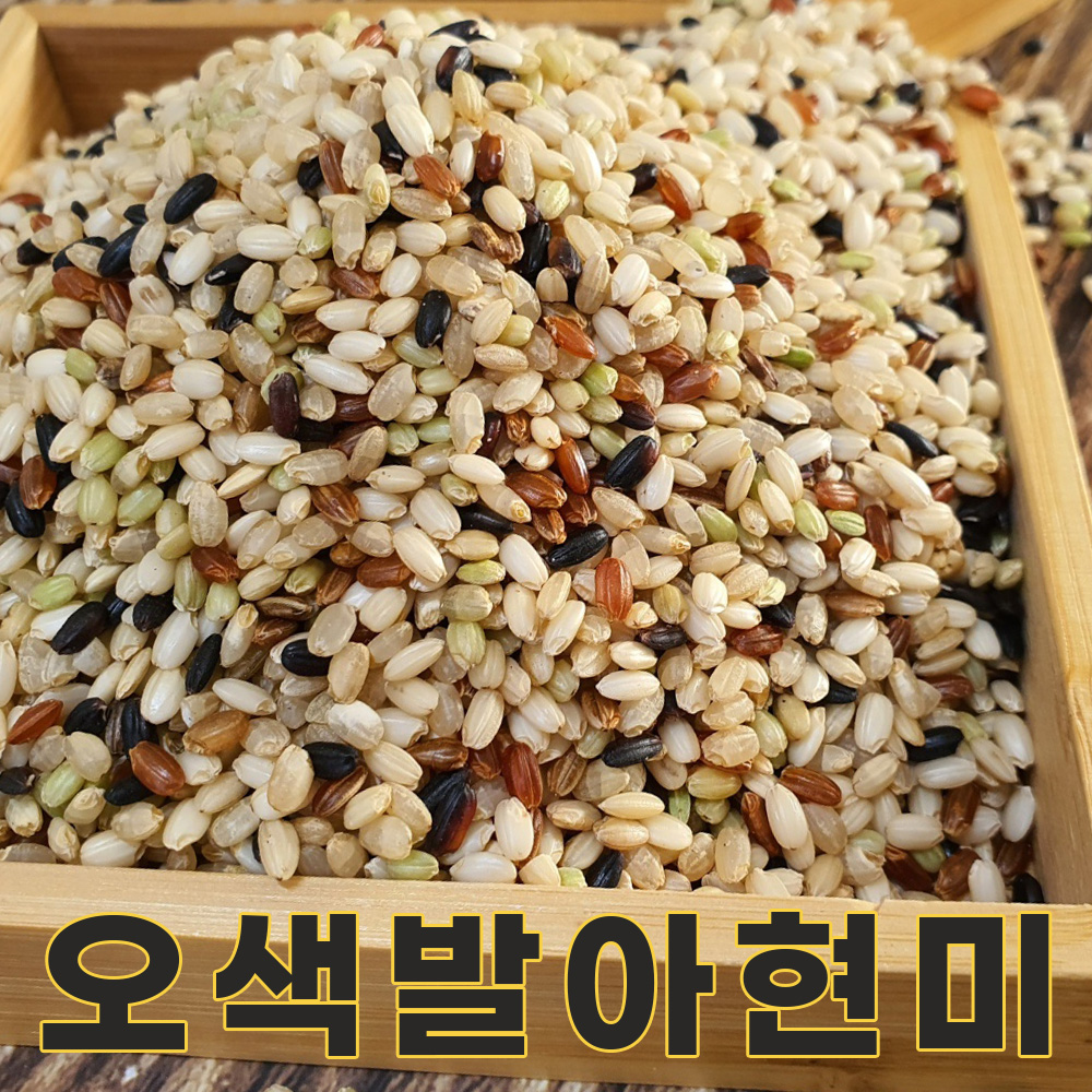 밥보야 24년산 국산 오색현미 2kg 오색발아현미 오색미