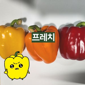 프레치 국내산 파프리카 빨강 노랑 주황 3개