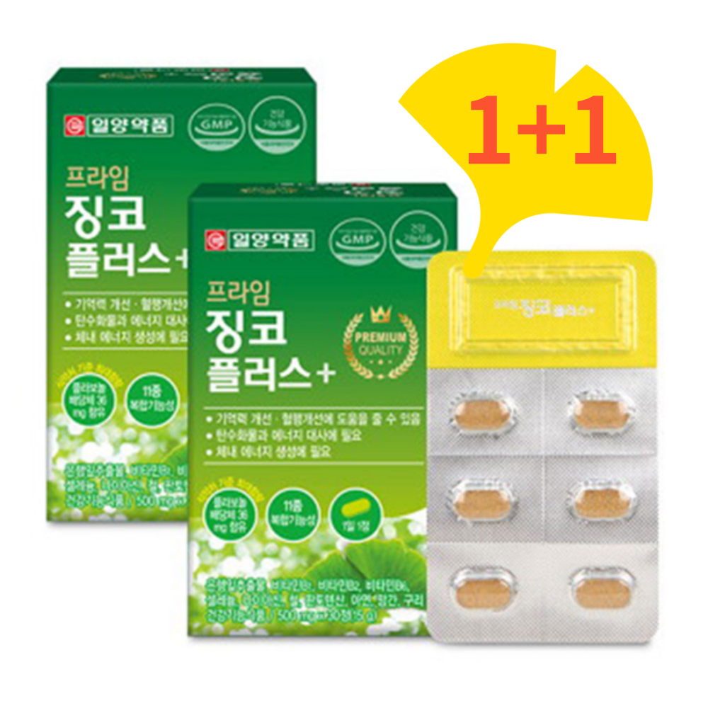 은행나무 <b>추출물</b> <b>플라보놀배당체</b> 혈행개선 징코 혈액순환 ginkgo 약2개월