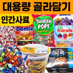과자 간식세트 인간사료 대용량 하리보 빈츠 칙촉 오트밀 빅파이 뽀또 담라