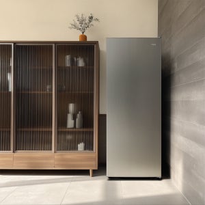 소형 미니 냉동고 서랍형 가정용 스탠드 급속 빵동고 냉동고 더함 CHIQ 177L 실버