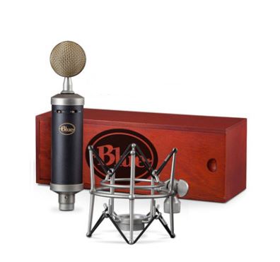 BLUE Baby Bottle SL 마이크