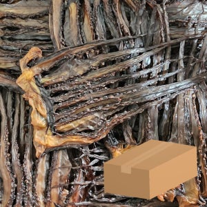 오징어 망족 10KG 오다리 문어발